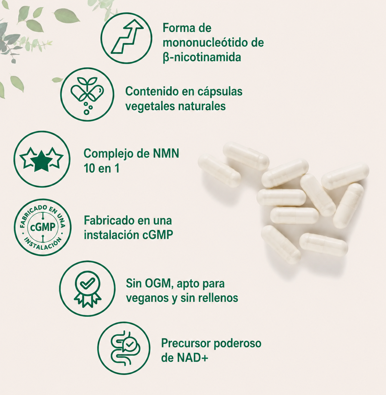 nmn prueba upsell