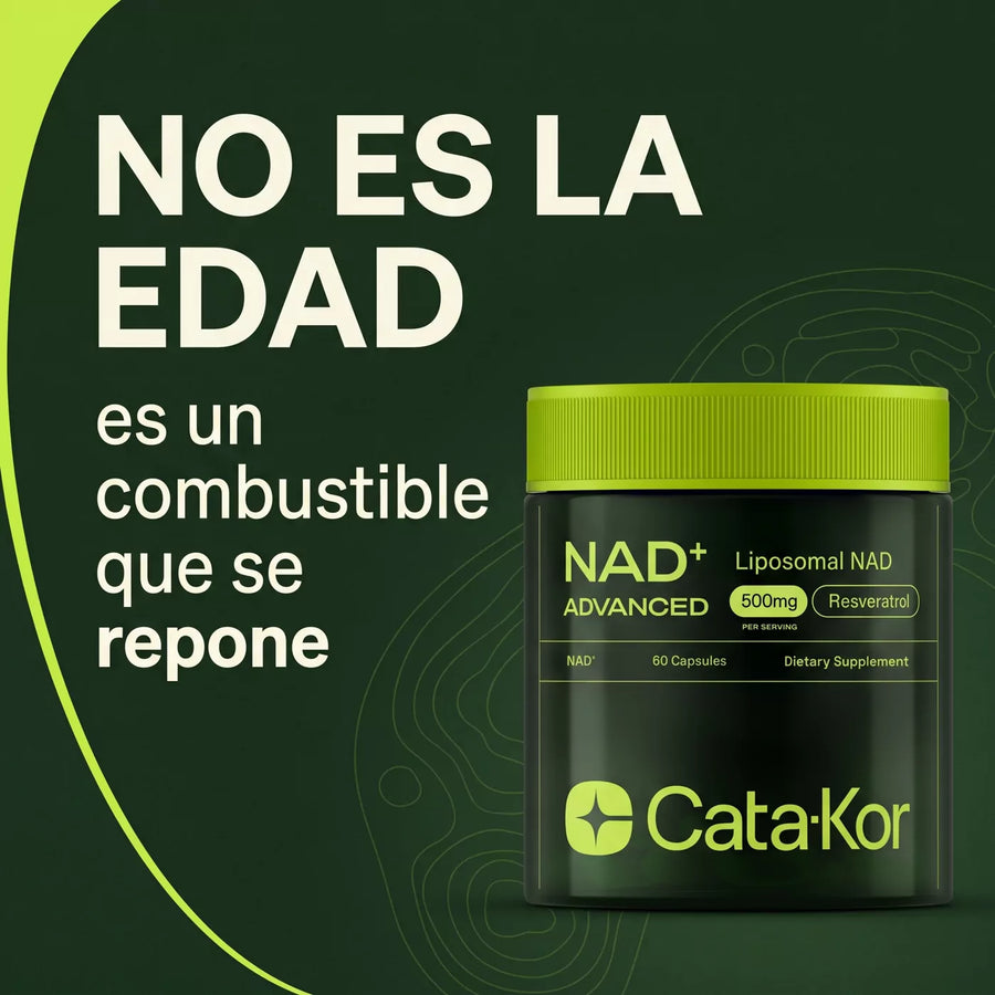 NAD Catakor SLD-03