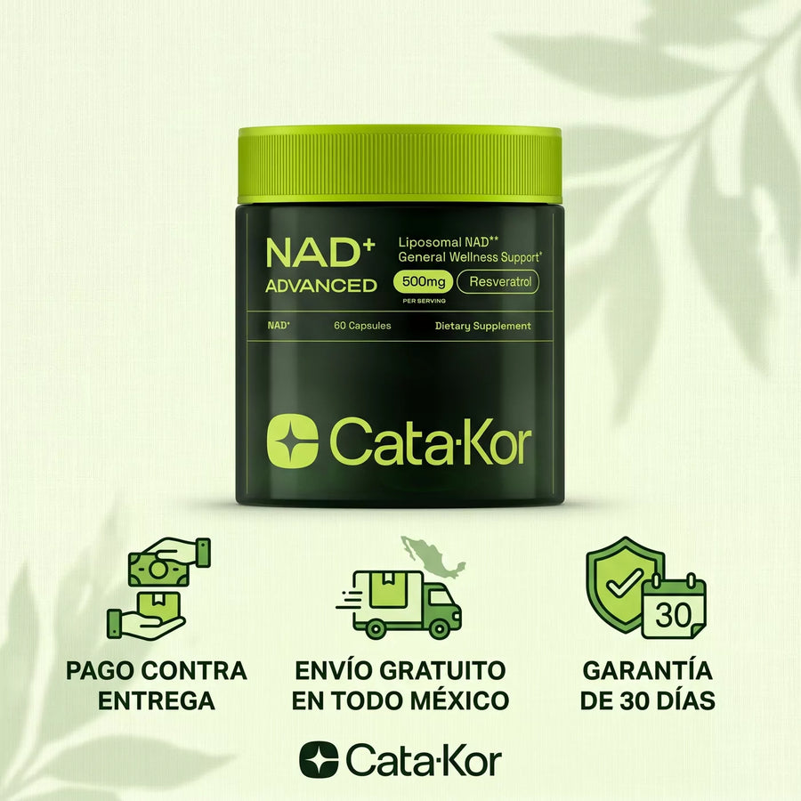 NAD Catakor SLD-06