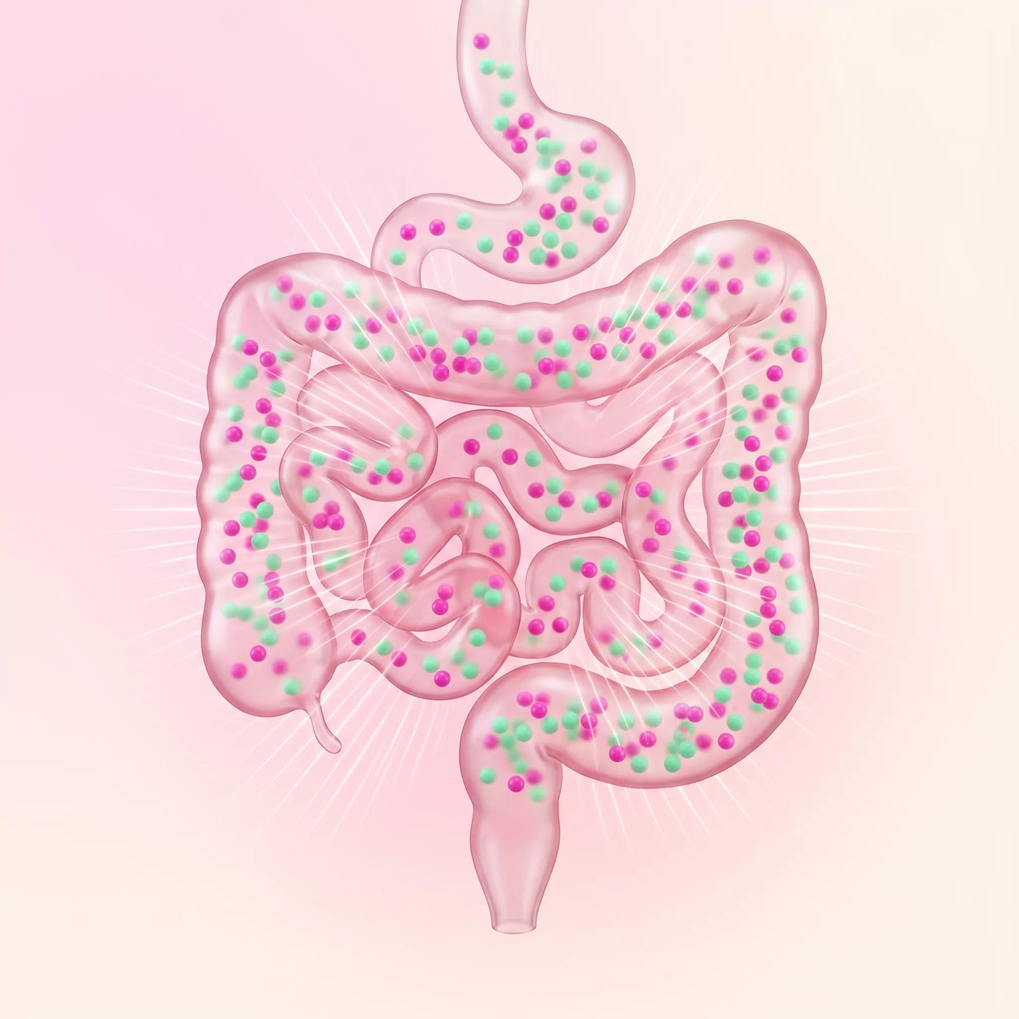 Reactiva tu metabolismo AMPK