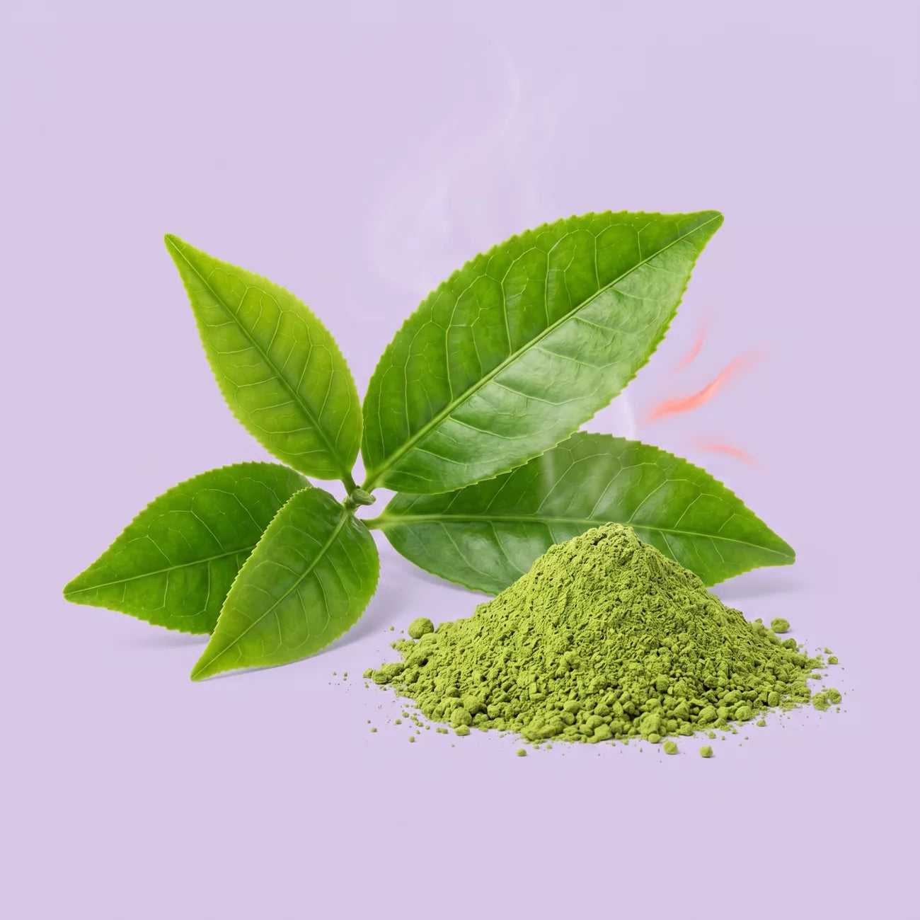 Extracto de té verde