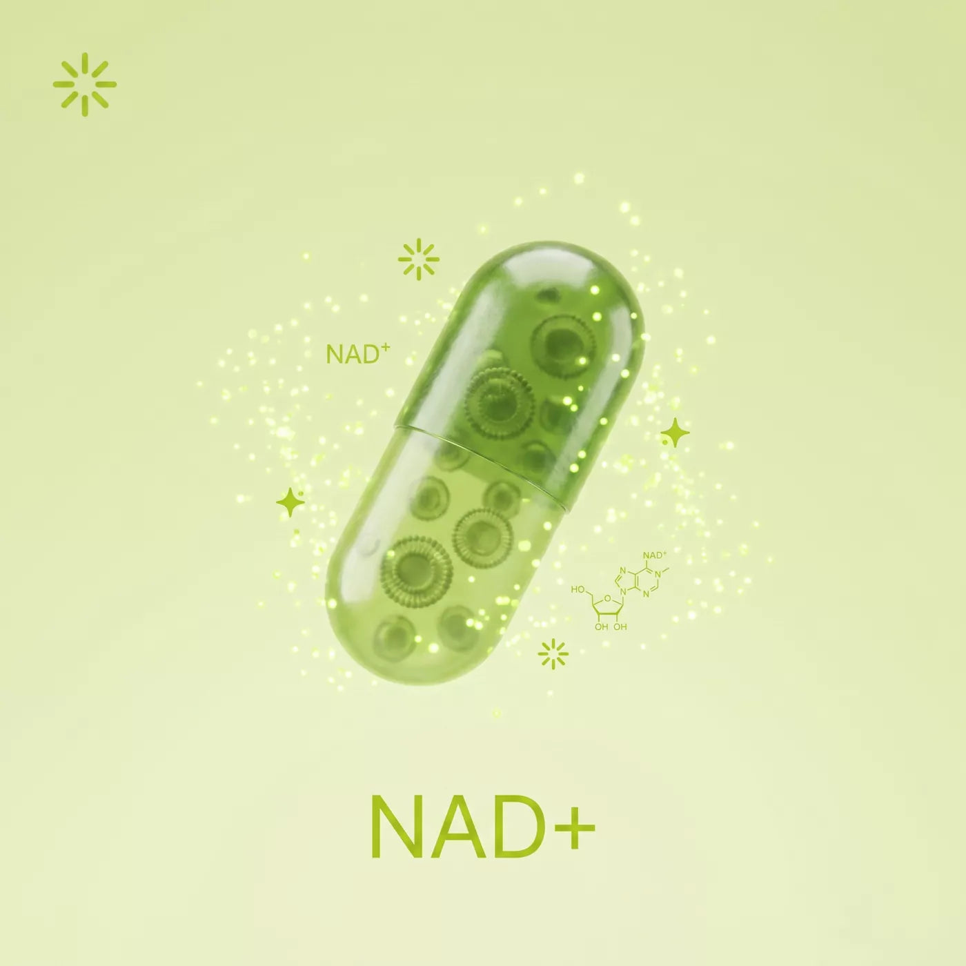 NAD Catakor IMG-05