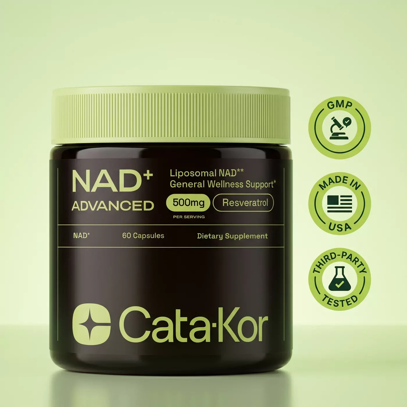 NAD Catakor IMG-08